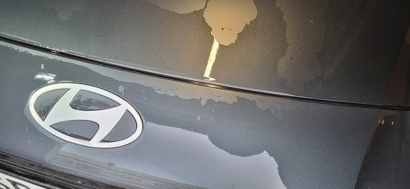 Matte Paint Protection Paisley | Matte Paint Protection Glasgow