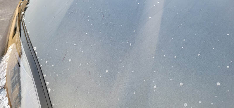 Matte Paint Protection Paisley | Matte Paint Protection Glasgow