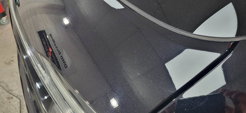 Paint Correction Paisley