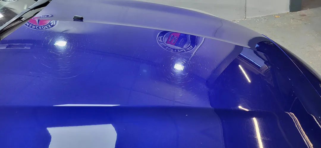 Paint Correction Paisley