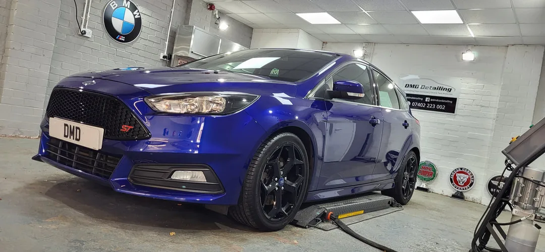 Paint Correction Paisley