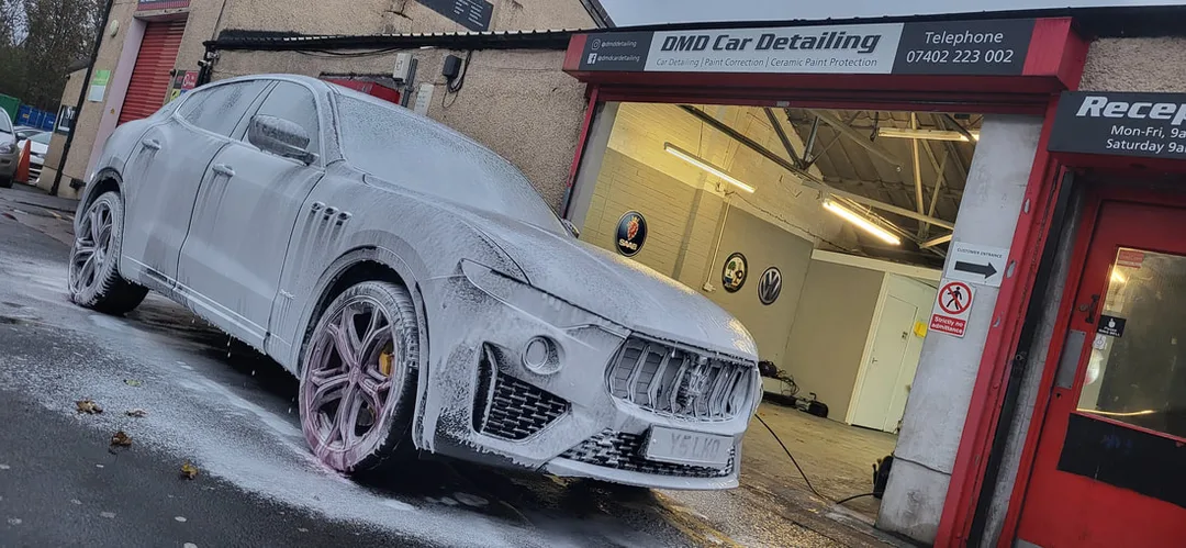 Paint Correction Paisley