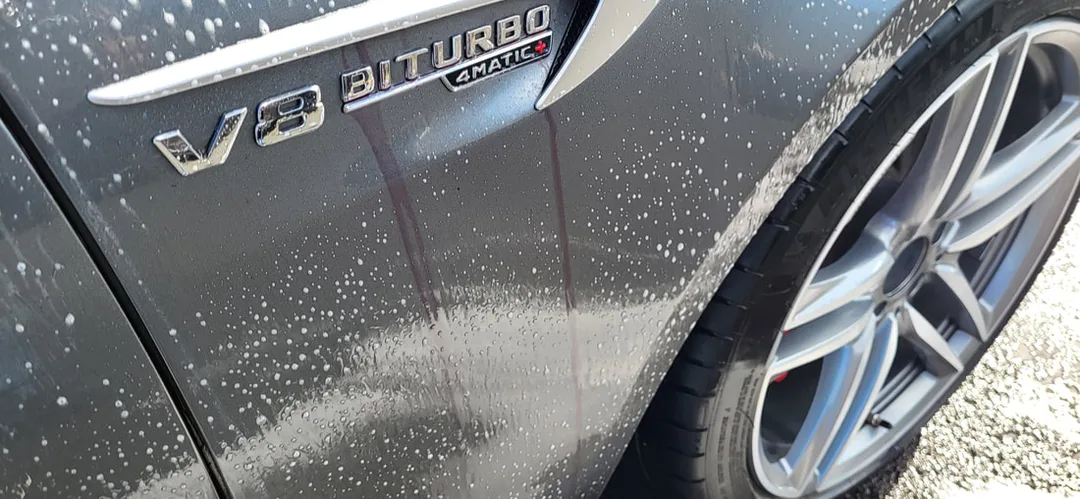 Paint Correction Paisley